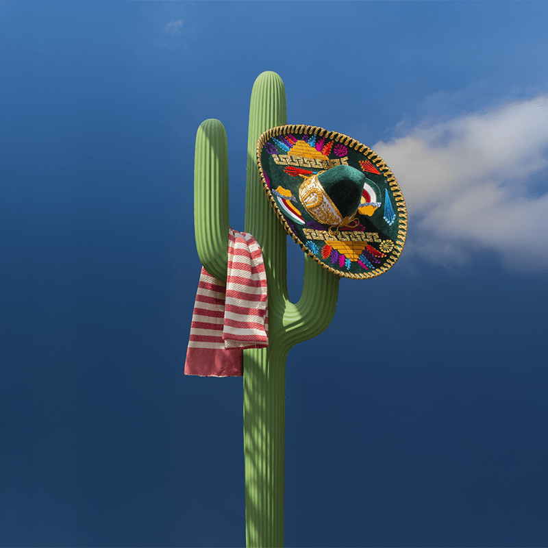 Appendiabiti Saguaro, Yellow