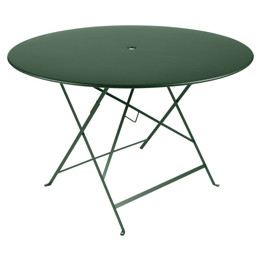 #color_Cedar green